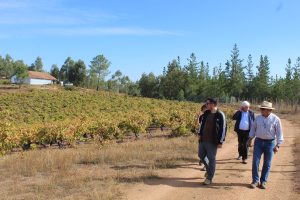 Estudiantes de Sociología UdeC Exploran Viñas Centenarias del Valle de Itata